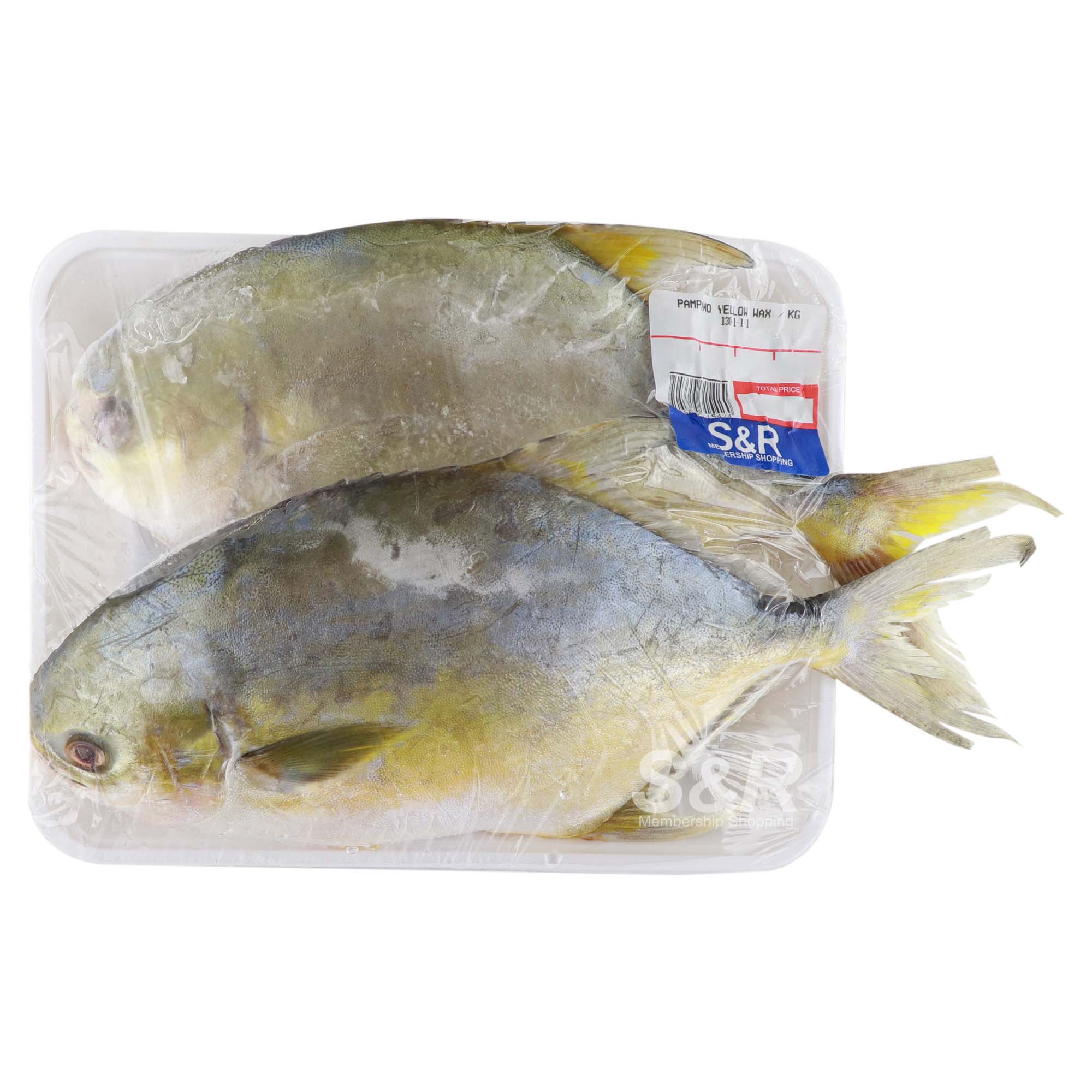 S&R Pampano approx. 1.2kg S&R Pampano approx. 1.2kg